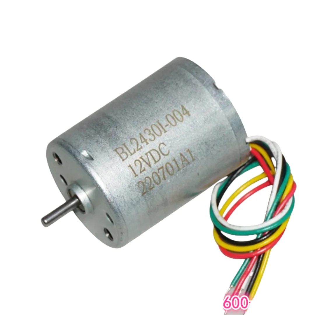 Smart Home Yam Pounder - Electric Motor Brushless DC 12V 4500rpm