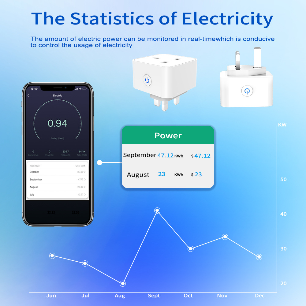 Tuya Smart Socket 16A/20A WiFi - Smart Home Wiser avis et prix