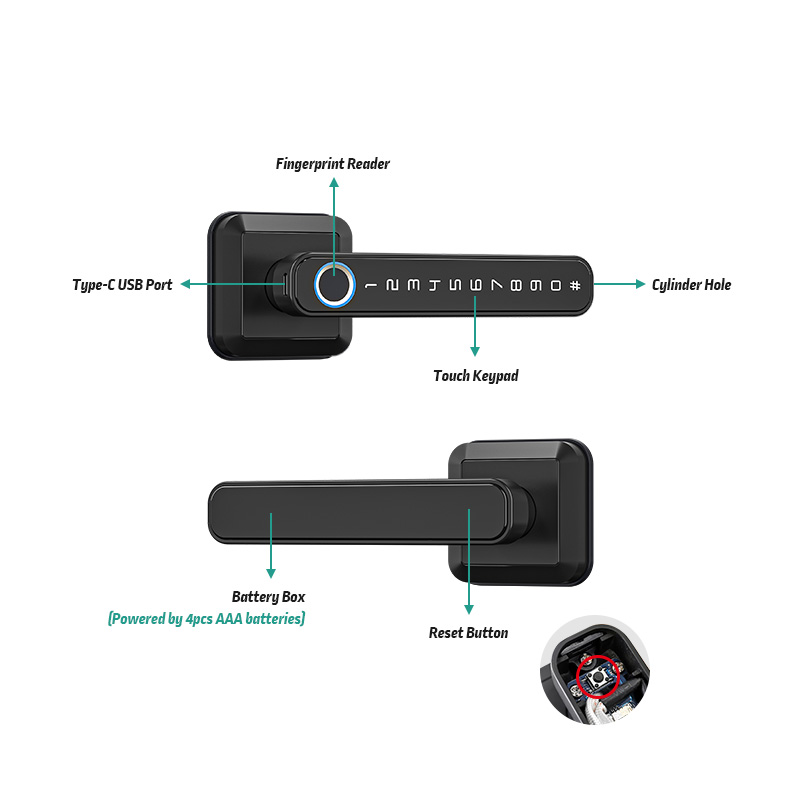 T3  Europe Fingerprint Smart L - Smart Home Europe avis et prix