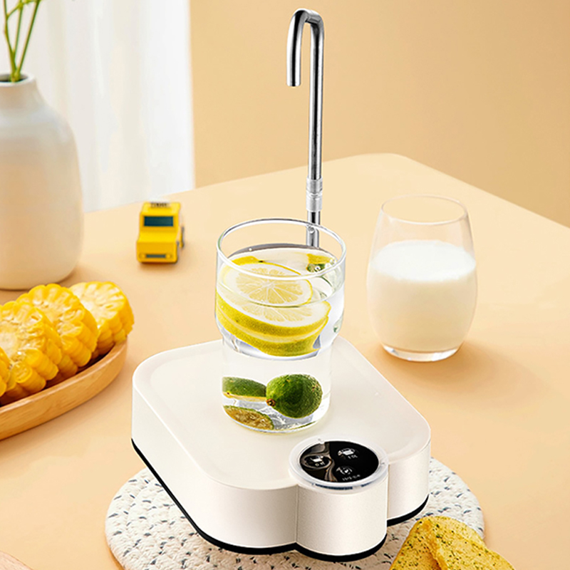 Smart Electric Water Pump Rech - Smart Home Yam Pounder avis et prix