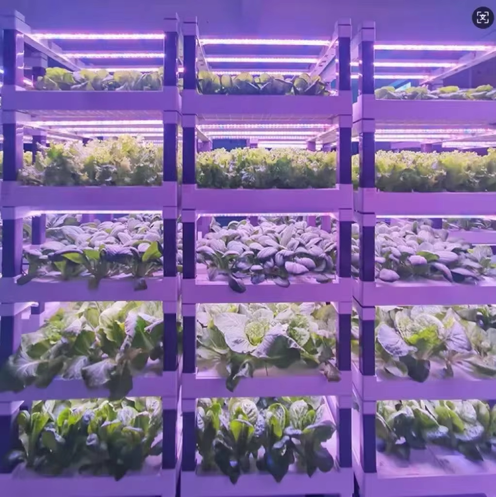 Hydroponic Grow System Greenho - Smart Home Device avis et prix